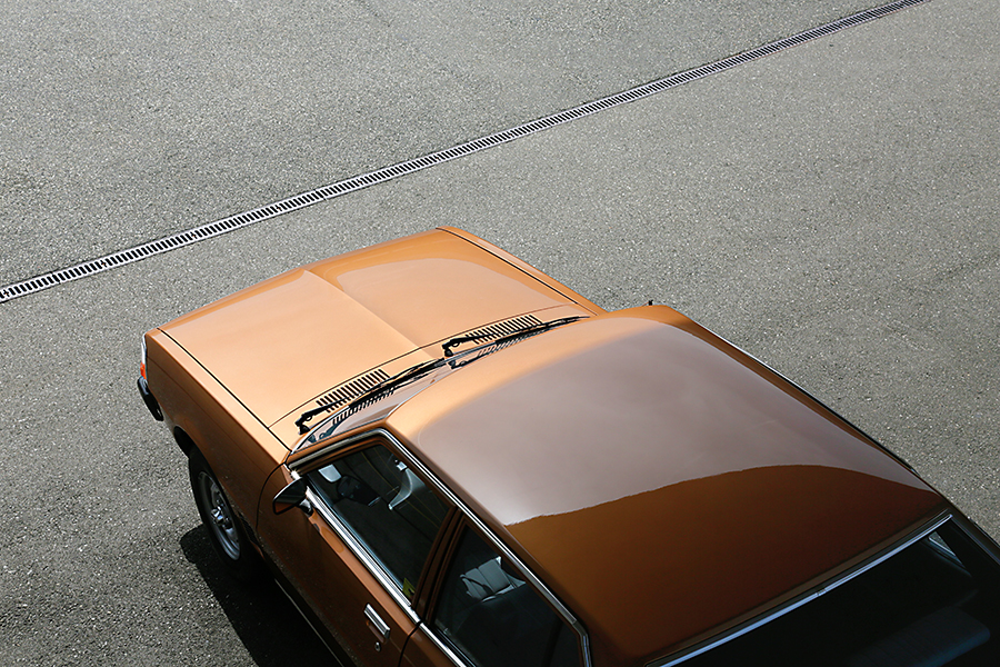 Galant 2 - Copyright Christiane Specht