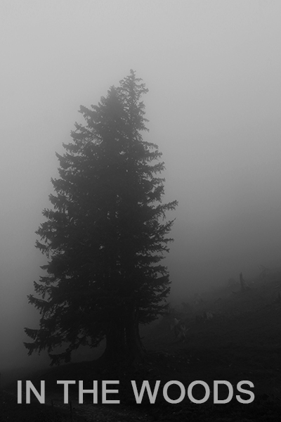 In the Wooods 1 - Copyright Christiane Specht