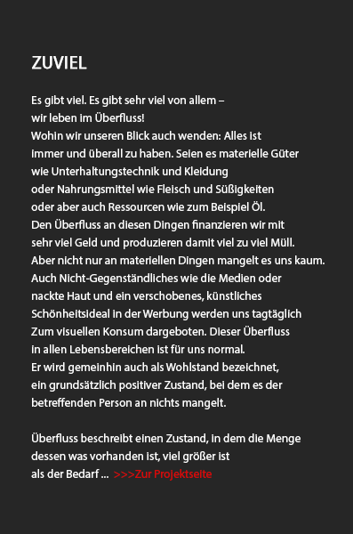 Zuviel: Das Projekt - Copyright Christiane Specht